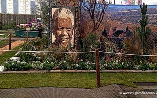 MyGardenSchool Roving iPhone Reporter:  The Great Pavilion @ChelseaFlowerShow2014