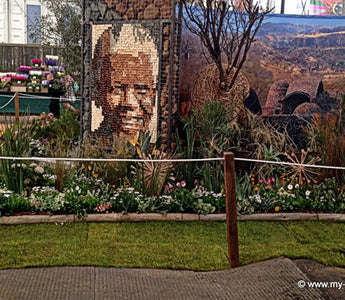 MyGardenSchool Roving iPhone Reporter:  The Great Pavilion @ChelseaFlowerShow2014