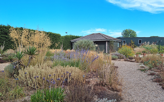 Beth Chatto Gardens