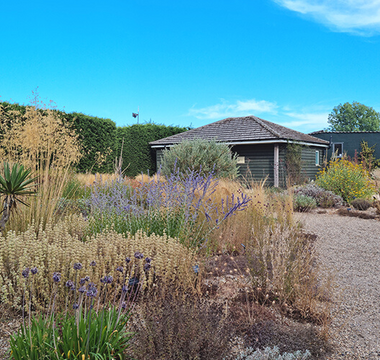 Beth Chatto Gardens