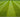 How to sow a new lawn