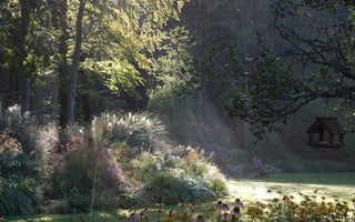 Gardening Bucks Recession as a Growth Industry