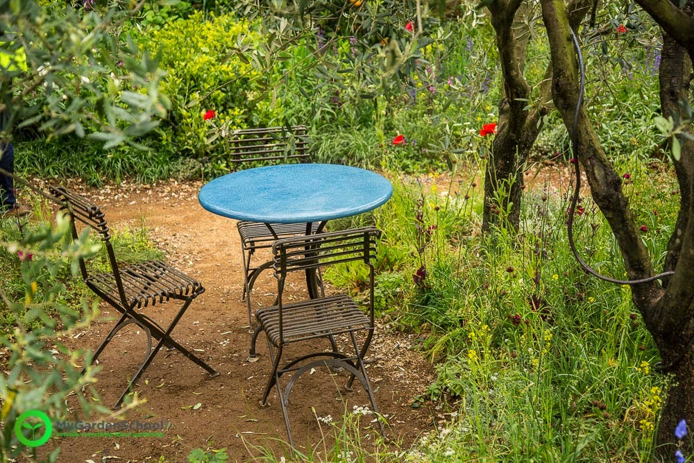 A Perfumer's Garden in Grasse Chelsea Flower Show 2015 Learning with