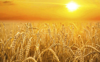 September Photo Inspiration