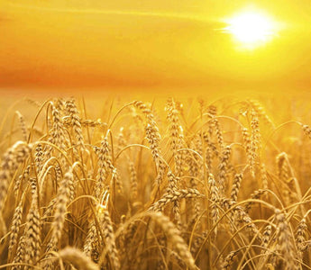 September Photo Inspiration