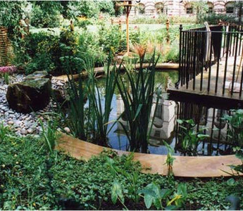 Making the most of your pond: fountains, cascades, filters or still water
