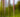 Camera Craft: Landscape or Portrait?