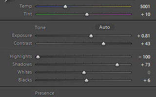 Exposure VS Highlights VS Whites