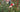 An Interview with Gary Long; Head Gardener at Trewithen, one of the Great Gardens of Cornwall, UK