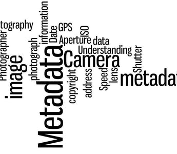 Making Sense of Metadata