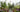 Crossing Continents: a muliti-cultural society of plants in a garden