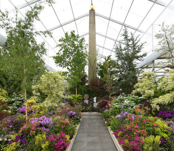 Crossing Continents: a muliti-cultural society of plants in a garden
