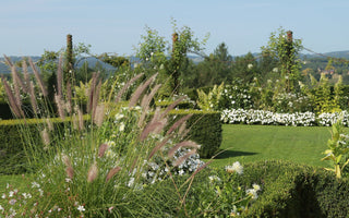 Adding light height to your planting