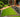 The Homebase Garden Chelsea Flower Show 2015