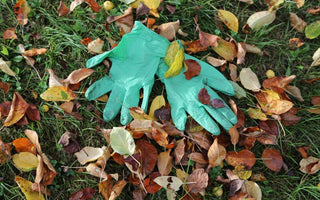 A Glove for all reasons: in the top ten gardening accessories