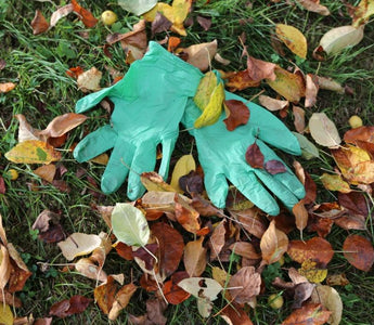A Glove for all reasons: in the top ten gardening accessories