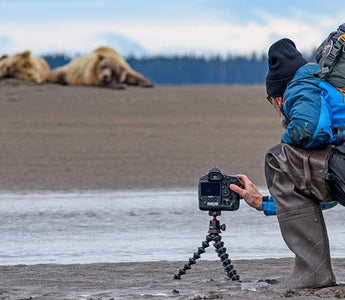 Top 5 pieces of equipment you'll need when you start an online photography course