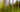 Blur in Focus
