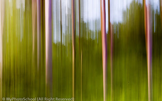 Blur in Focus