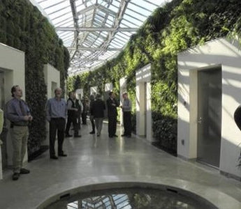 Amazing Facts About Living Green Walls