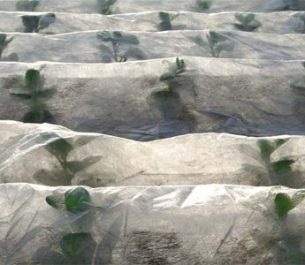 How to Use Horticultural Fleece