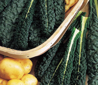 Kale – superfood, gourmet vegetable or cattle fodder?