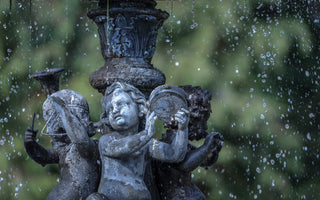 How to Conserve Water and Still Maintain a Beautiful Home Landscape