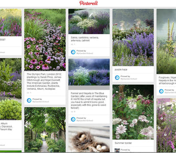 Garden Ideas:  The Best Gardening Boards on Pinterest