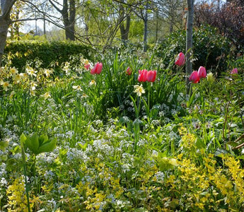 Community Planting