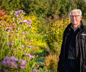 Piet Oudolf Gardens
