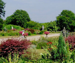 Conservation of Historic Gardens