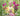 Planting Design from Hunting Brook Gardens (Late Summer & Autumn)