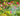 Spring Flowering Bulbs with Perennials