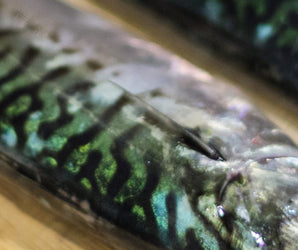 Fish Cookery
