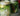 Fermenting For Taste and Health