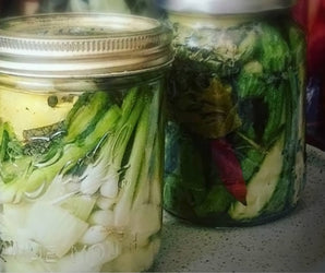 Fermenting For Taste and Health