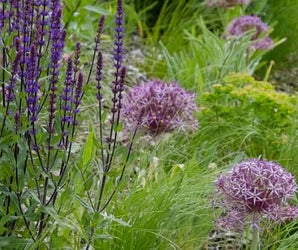 Gardening with Grasses