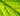 RHS: Maintain Plant Health (3)