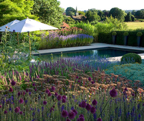Introduction To Garden Design