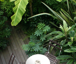 Designing Small Gardens