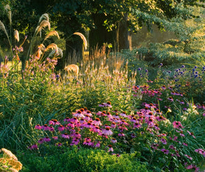 Professional Planting Design