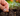 RHS Level 2 Online Course