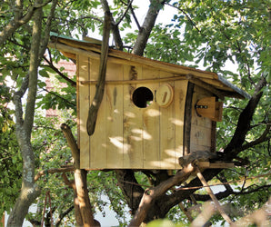 How to Build a Treehouse