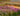 Planting the Piet Oudolf Way